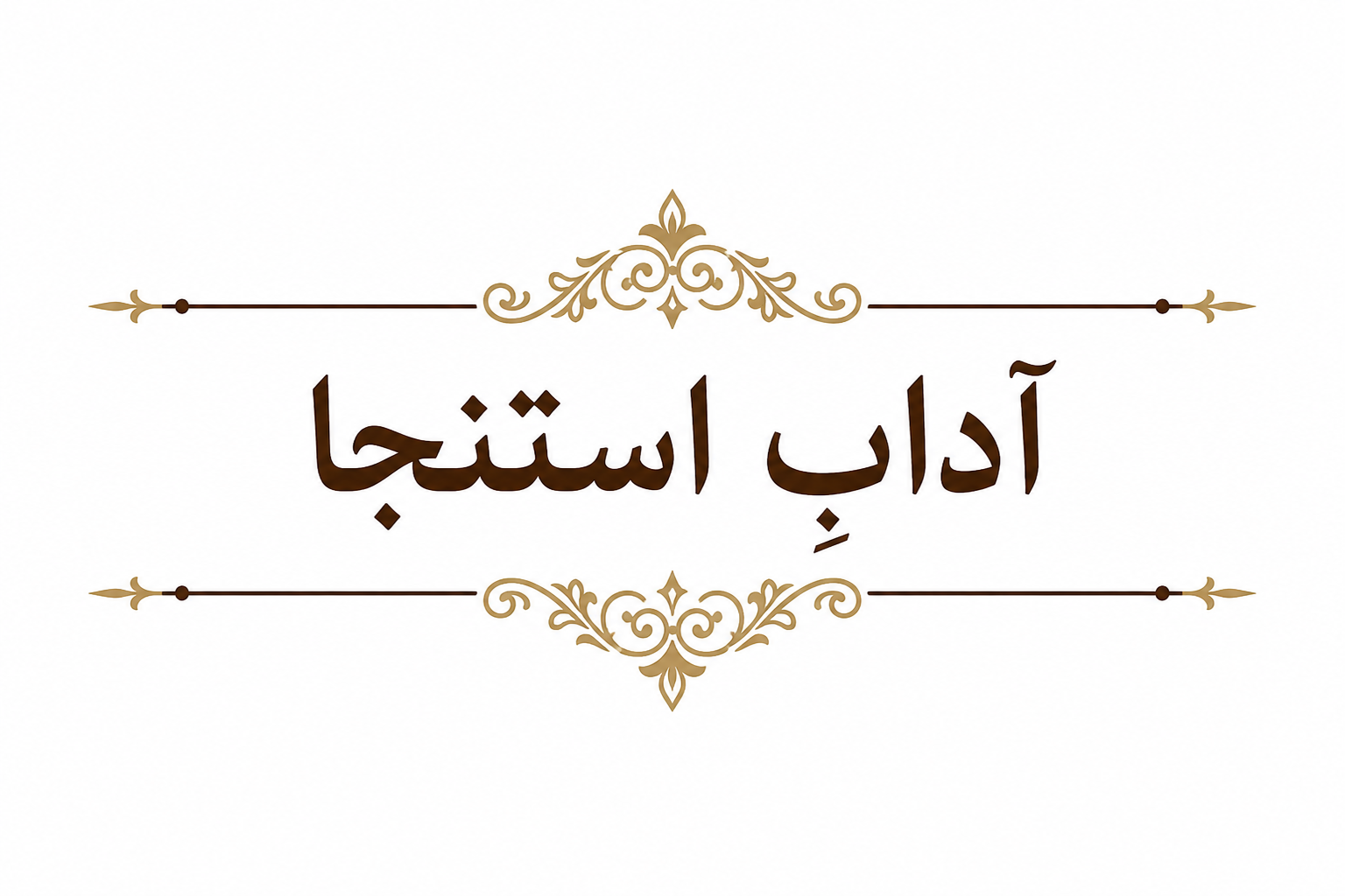 |Kya Aap Istinja Sahih Tarike Se Karte Hain? | Adab-e-Istinja | Sunnat Ke Mutabiq آدابِ استنجا